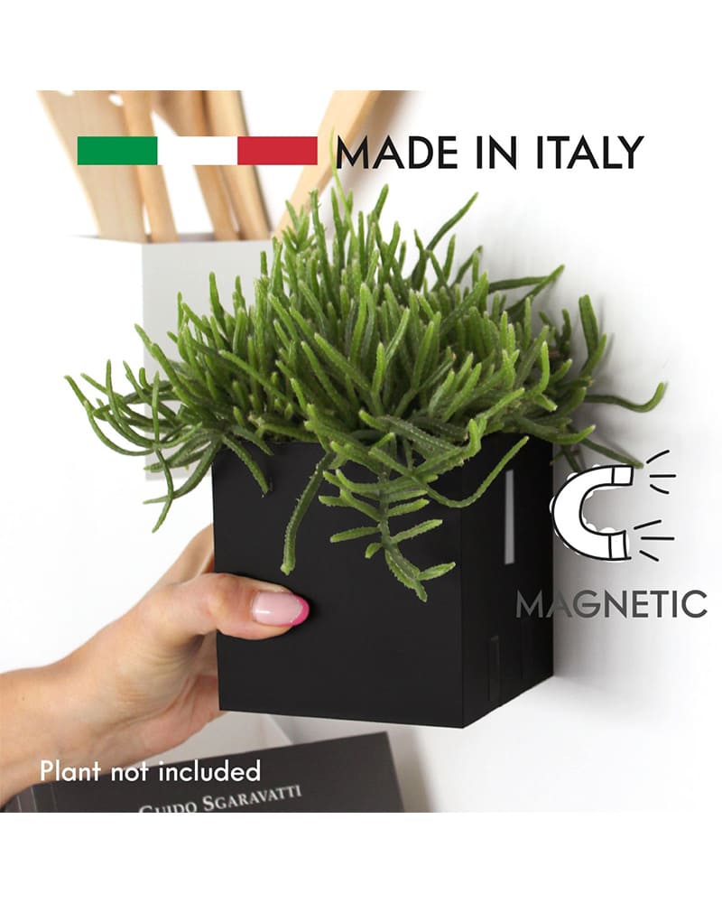 KalaMitica®