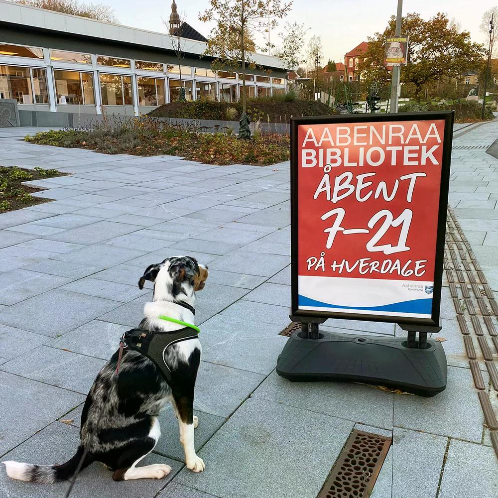 Kundenstopper Alu mit Wassertank, WindPro Budget, Schwarz, Outdoor