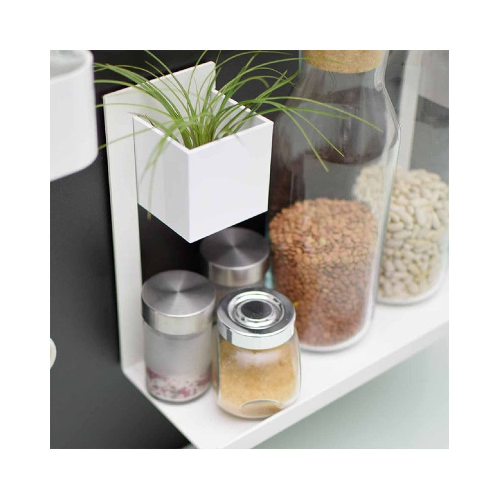 Gewürzablage magnetisch für Magnettafeln