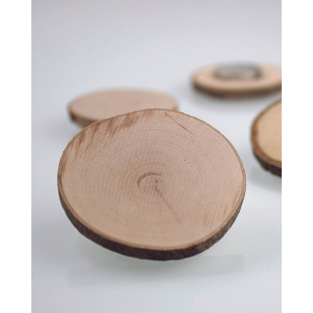 Neodym Magnetische Holzscheibe