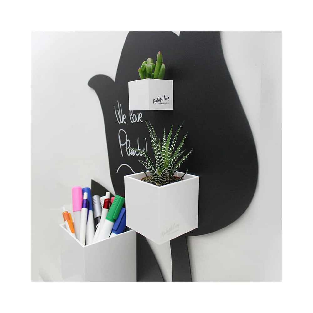 Kalamitica Cubes weiss 3er-Set