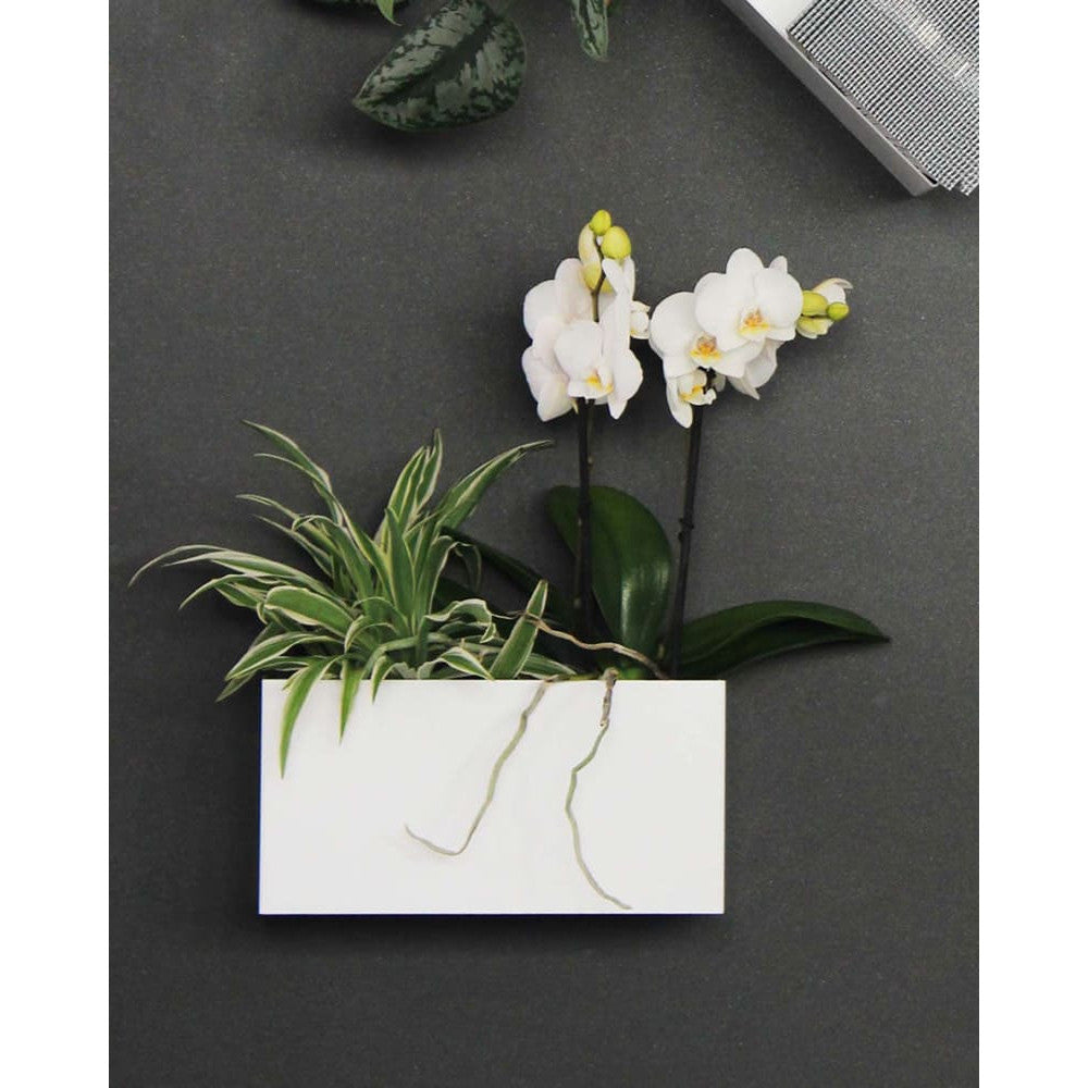 Magnetischer Stahlbehälter weiss Kalamitica