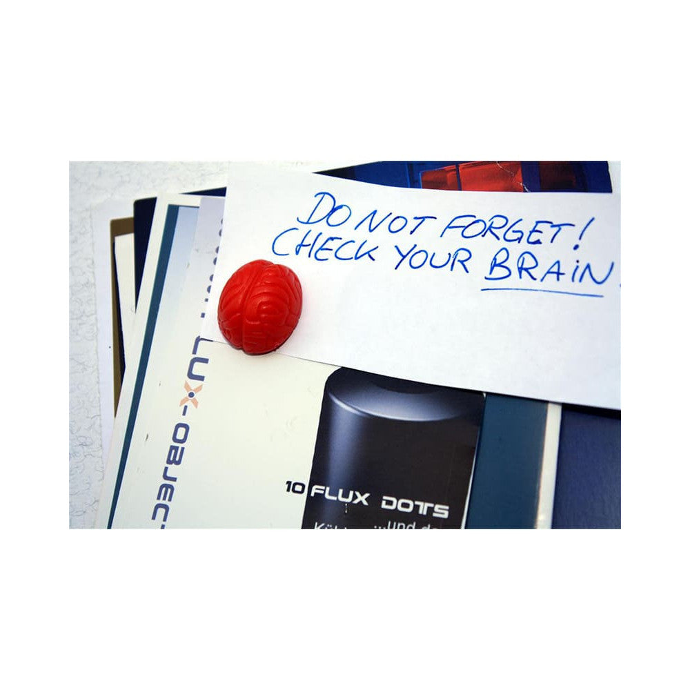 Roter Neodym Magnet Brain