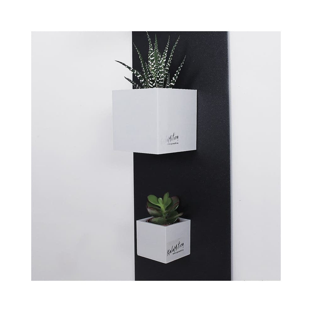 Schwarze Magnettafel mit hellgraue Magnettöpfe