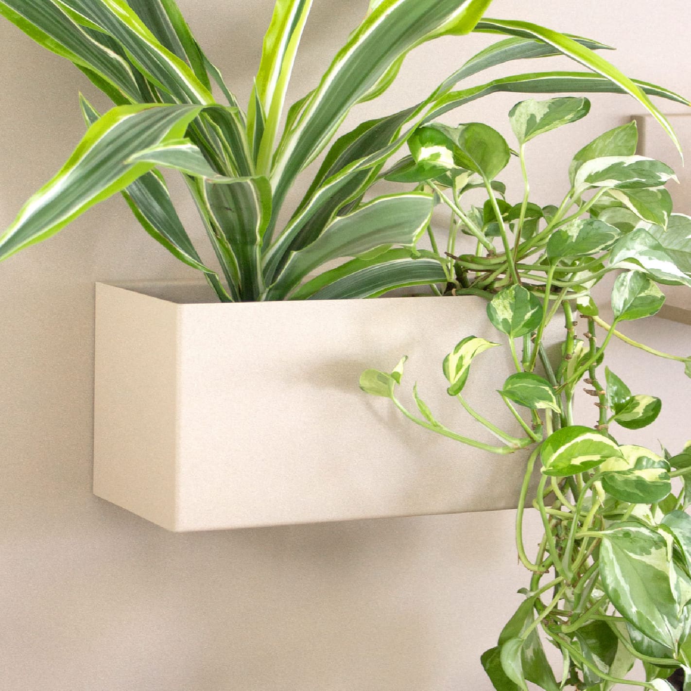 KalaMitica® Magnetbehälter "Hermes" aus Stahl